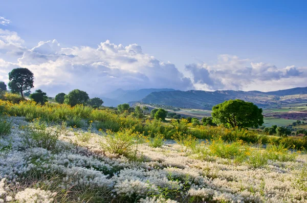 Crater of volcano Maragua — Stock Photo, Image