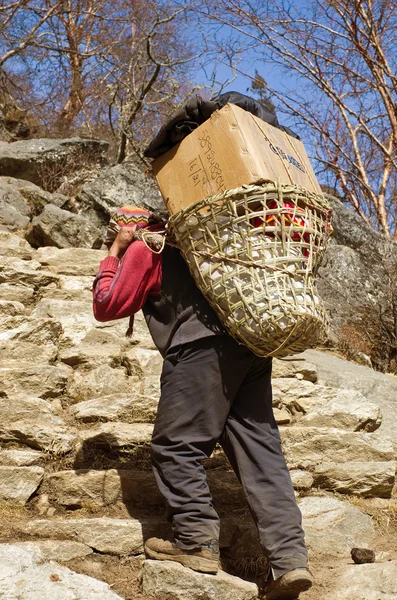 Nosiči nosit těžký náklad v Himalájích — Stock fotografie