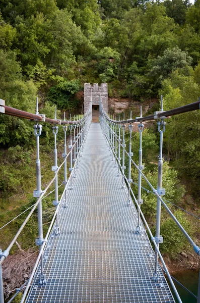 Γέφυρα στο congost de mont-rebei — Φωτογραφία Αρχείου