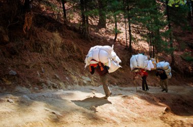 Hamallar Himalaya içinde ağır yük taşımak