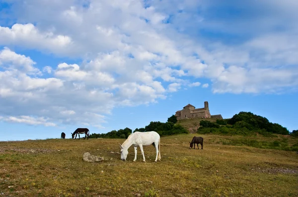 Monastero di Sant Llorenc del Munt — Foto Stock