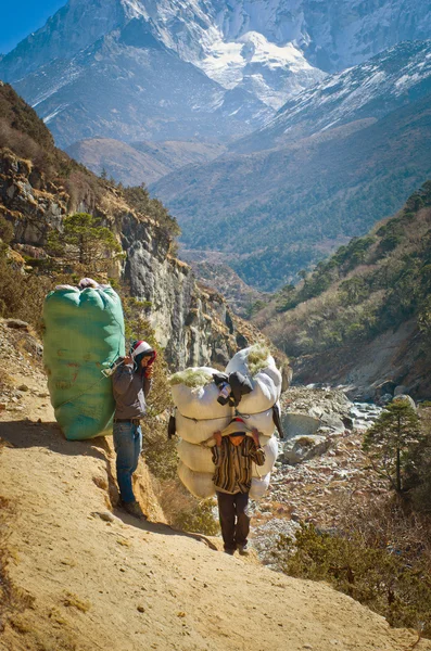 Nosiči nosit těžký náklad v Himalájích — Stock fotografie