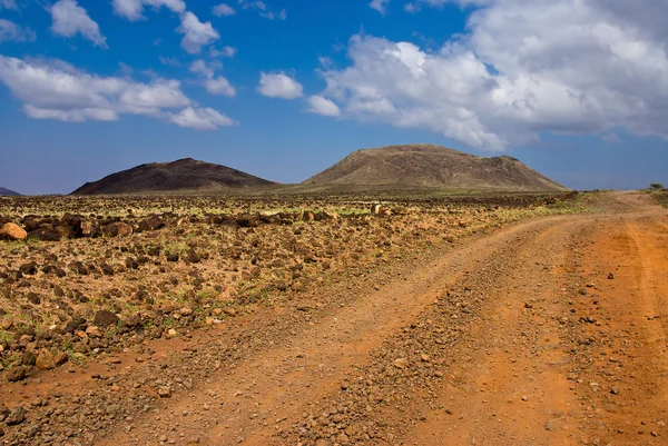 Carretera en sabana africana — Foto de Stock