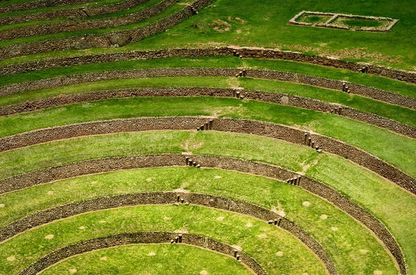 Landbouw terrassen in Moray, Cusco — Stockfoto