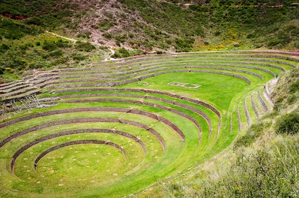 Terrazas agrícolas en Moray, Cusco — Foto de Stock