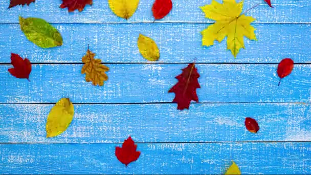 青い木の背景の上の秋のフレームストップモーションアニメーション — ストック動画