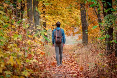 Parkta yürüyen yakışıklı adam. Açık havada mevsimlik aktiviteler. Yaşam biçimi yakalama.