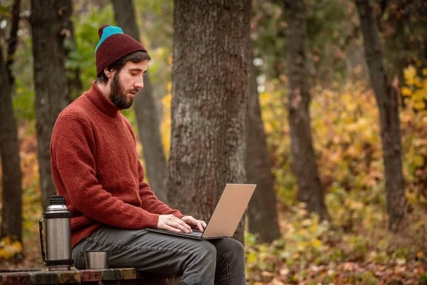 秋の森の公園のベンチで屋外に座ってノートパソコンでお茶のフリーランスの仕事をしている男 — ストック写真