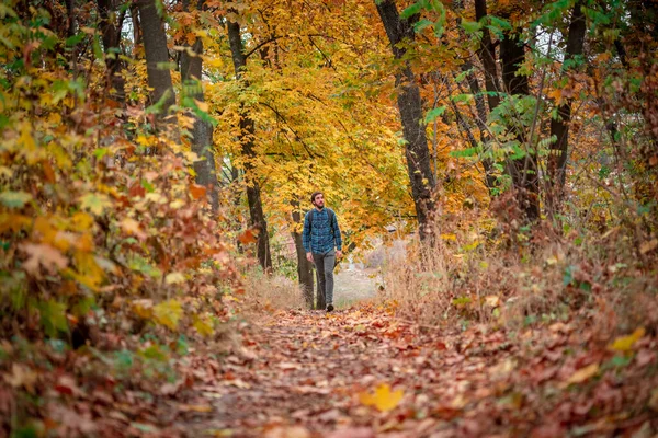 公園を歩いているハンサムな男 屋外の季節活動 ライフスタイルのキャプチャ — ストック写真