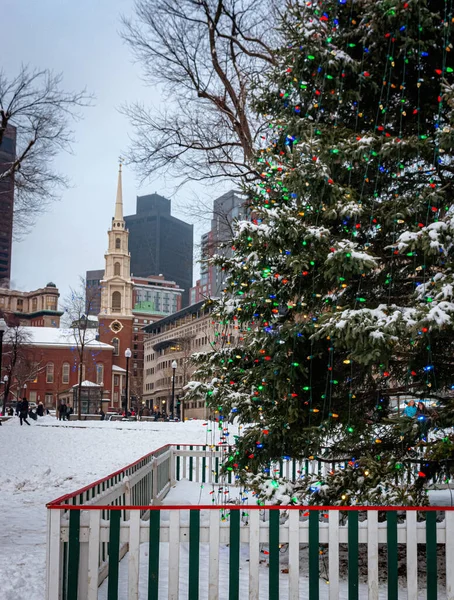 Boston Usa Dic 2016 Árbol Navidad Plaza Boston Usa — Foto de Stock