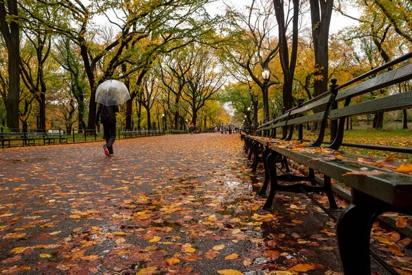 中央公园的秋景景观 — 图库照片