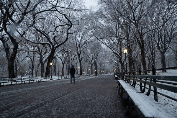 Winter landscape in Central Park. New York City. USA