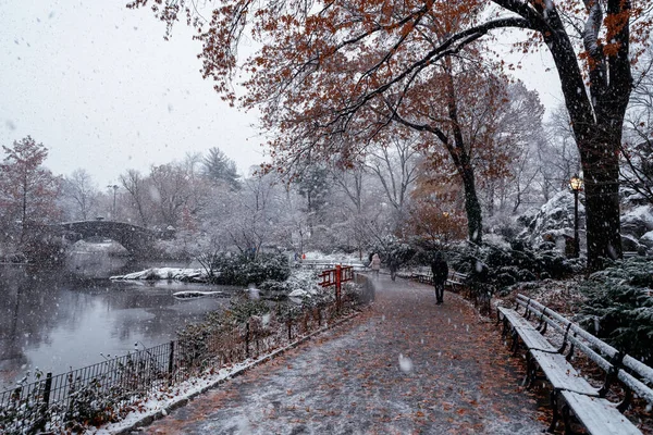 Vista Ponte Gapstow Durante Inverno Central Park New York City — Fotografia de Stock