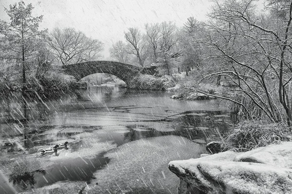 Снегопад Центральном Парке Мост Гапстоу Зимой Центральный Парк Нью Йорка — стоковое фото