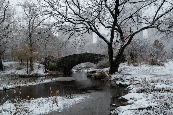 Chute Neige Central Park Pont Gapstow Hiver Central Park New — Photo