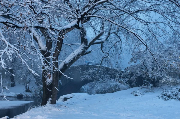 Uma Queda Neve Central Park Ponte Gapstow Durante Inverno Central — Fotografia de Stock