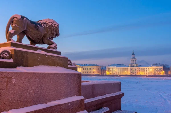 Sculpture Lion Bronze Remblai Amirauté Kunstkamera Nuit Saint Pétersbourg Russie — Photo