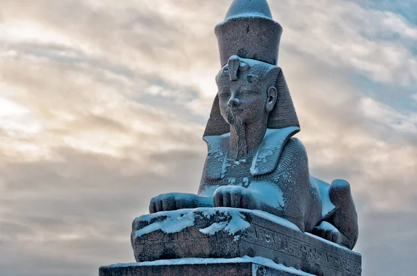 Hiteles Antik Egyiptomi Szfinx Neva Folyó Rakpartján Szentpéterváron Oroszországban — Stock Fotó