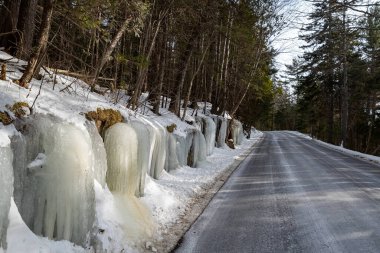 Acadia Ulusal Parkı 'ndaki kış yolu, Maine, ABD