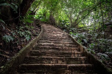Palenque, Meksika arkeolojik alanının görüntüsü