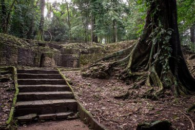 Palenque, Meksika arkeolojik alanının görüntüsü