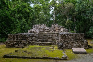 Calakmul (Kalakmul), Meksika 'nın Campeche eyaletinde bir Maya arkeolojik alanıdır.