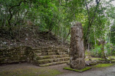 Calakmul (Kalakmul), Meksika 'nın Campeche eyaletinde bir Maya arkeolojik alanıdır.
