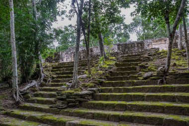 Calakmul (Kalakmul), Meksika 'nın Campeche eyaletinde bir Maya arkeolojik alanıdır.