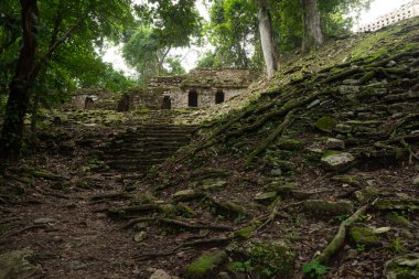 Yaxchilan - Meksika 'nın Chiapas eyaletindeki Olağan macinta nehrinin kıyısında bulunan antik bir Maya şehri..