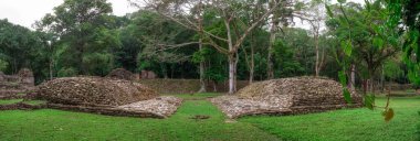 Yaxchilan - Meksika 'nın Chiapas eyaletindeki Olağan macinta nehrinin kıyısında bulunan antik bir Maya şehri..