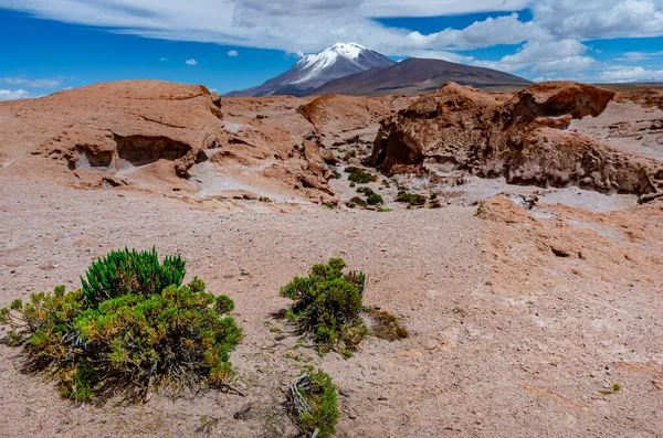Blick Auf Das Steinfeld Und Den Vulkan Ollague Bolivien Grenze — Stockfoto