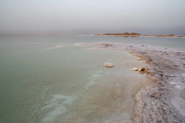 Zicht Dode Zee Kustlijn Israël — Stockfoto