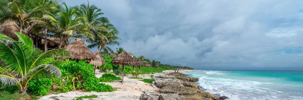 Karayip Denizi Ndeki Tropik Plajda Saman Şemsiyesi Yucatan Meksika Panoramik — Stok fotoğraf