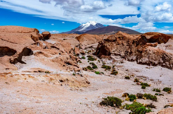 Vue Sur Champ Pierre Volcan Ollague Bolivie Frontière Chili — Photo