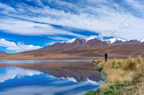 Podróżnik Robi Zdjęcia Różowemu Flamingowi Jeziorze Jezioro Hedionda Boliwii — Zdjęcie stockowe