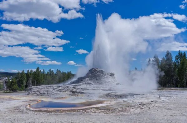 Eksplozja Zamku Geyser Kotlinie Górnego Gejzera Parku Narodowym Yellowstone Usa — Zdjęcie stockowe