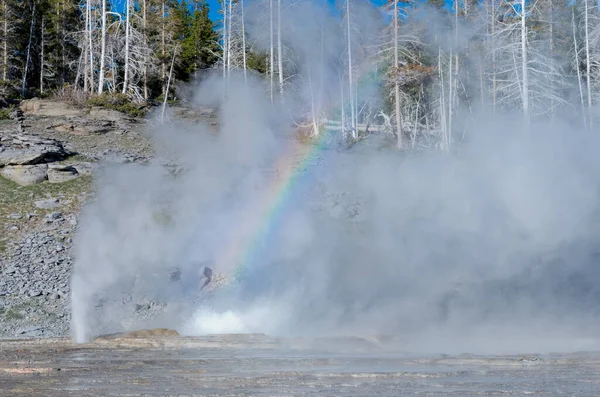 Grande Eruzione Geyser All Upper Geyser Basin Nel Parco Nazionale — Foto Stock