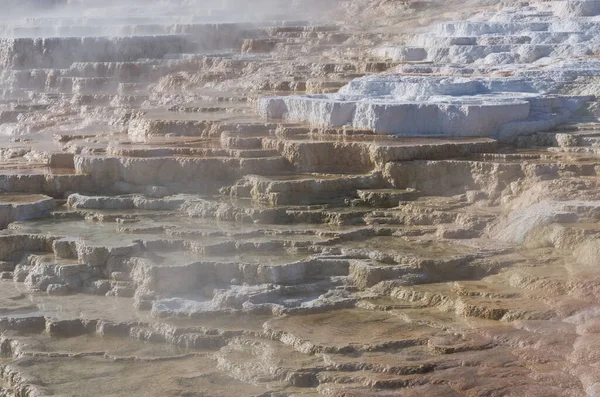 Mamut Hot Springs Parque Nacional Yellowstone Estados Unidos —  Fotos de Stock