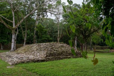 Yaxchilan - Meksika 'nın Chiapas eyaletindeki Olağan macinta nehrinin kıyısında bulunan antik bir Maya şehri..