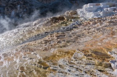 Yellowstone Ulusal Parkı 'ndaki Mamut Kaplıcaları. ABD