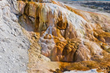 Yellowstone Ulusal Parkı 'ndaki Mamut Kaplıcaları. ABD