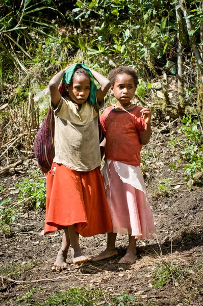 Papua Province Indonesia Circa January 2011 Unidentified Children Street Wamena — Stock Photo, Image