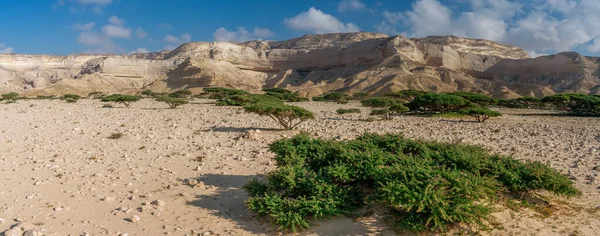 Paisaje Desierto Wadi Shuwaymiyah Omán — Foto de Stock