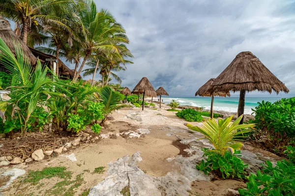 Parasol Słomy Tropikalnej Plaży Morzu Karaibskim — Zdjęcie stockowe