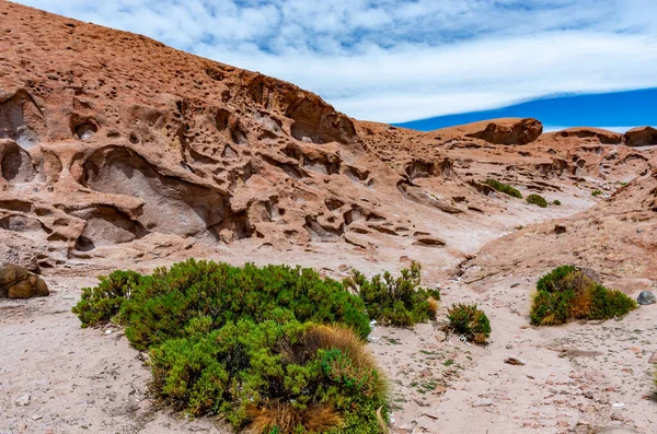 玻利维亚的石场和Ollague火山景观 智利边境 — 图库照片