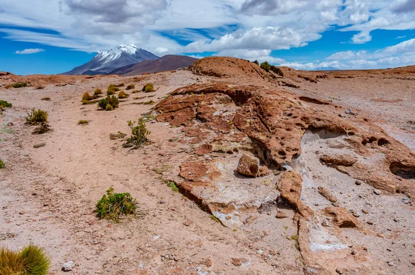 Widok Kamienne Pole Wulkan Ollague Boliwia Granica Chile — Zdjęcie stockowe