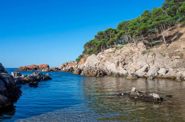 Palamos Costa Brava Girona Daki Cala Estreta Plajı Manzarası Katalonya — Stok fotoğraf