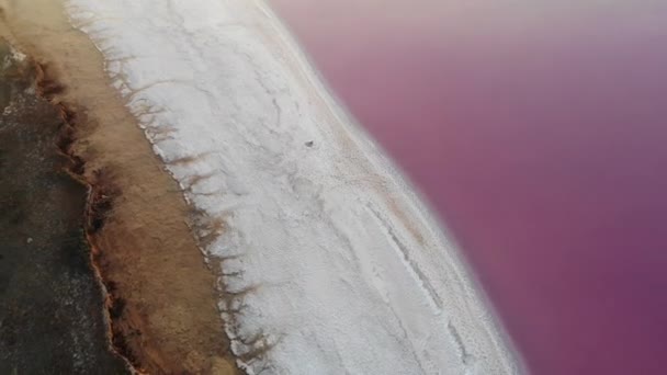 Vista aérea del lago de sal rosa Lemuriano, Ucrania — Vídeos de Stock