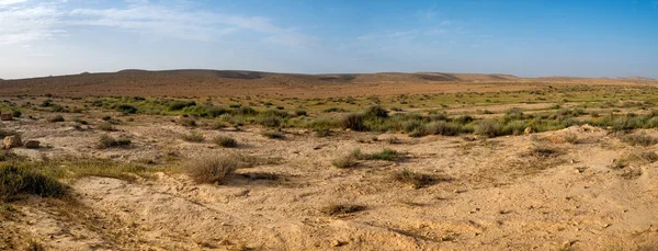 Makhtesh Crater Ramon Geological Landform Large Erosion Cirque Negev Desert — Stock Photo, Image