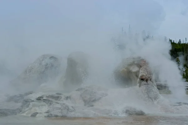 Grotto Geyser Eruption Upper Geyser Basin Yellowstone National Park Usa — Stock Photo, Image